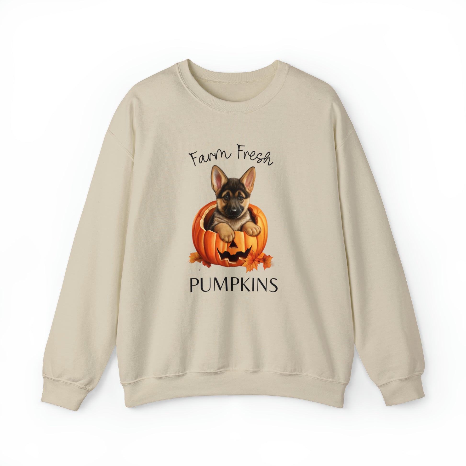 Germans shepherds puppy fall sweatshirt