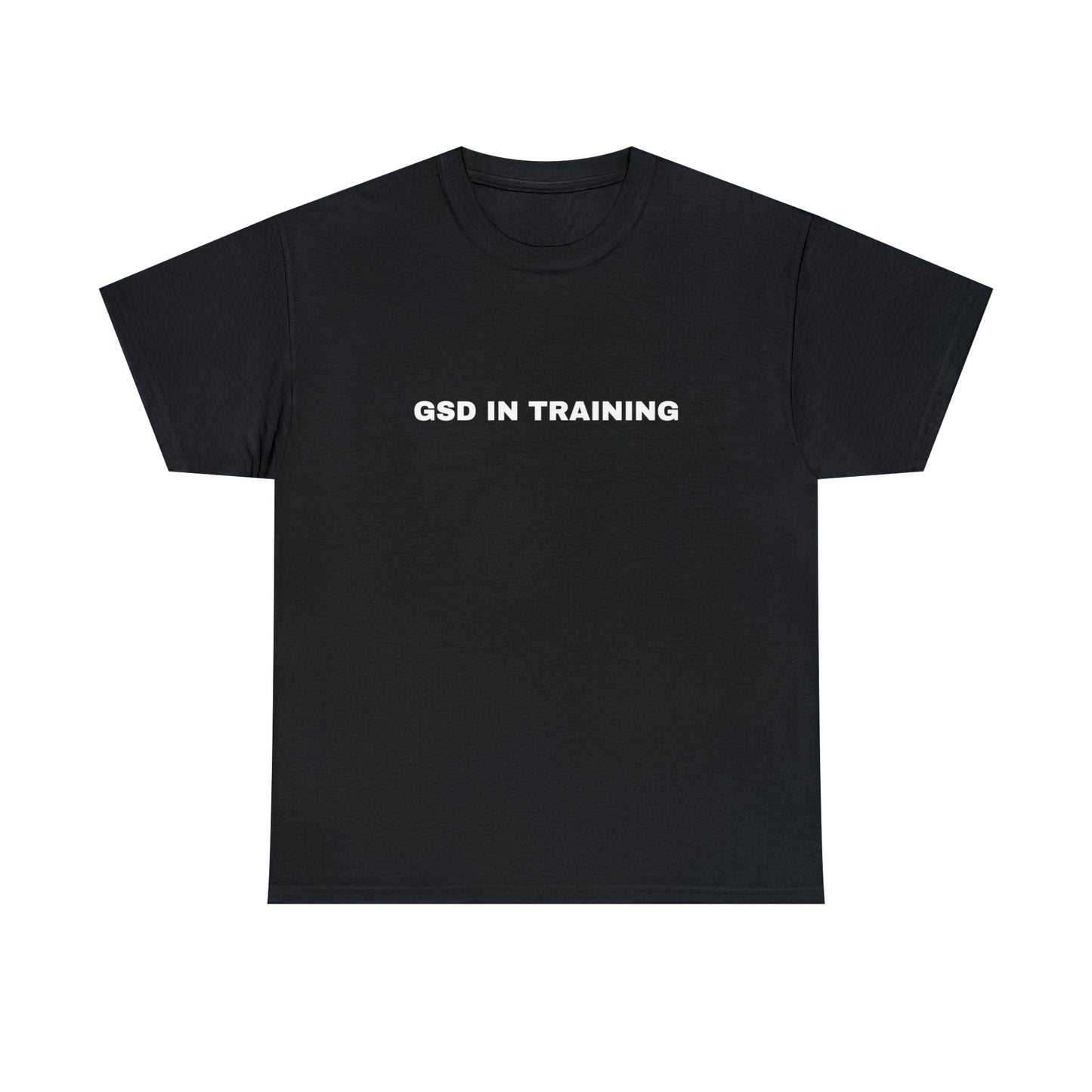 German Shepherd Dog Training Women's T-Shirt