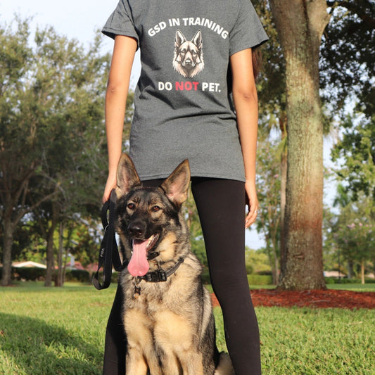 Woman wearing dark heather GSD In Training Do Not Pet t-shirt with her German Shepherd